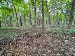 Property photo 32 - REAL ESTATE AUCTION 119 +/- ACRES OFFERED IN 5 TRACTS IN NOBLE COUNTY, INDIANA