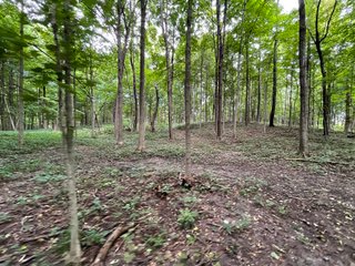 Property photo 34 - REAL ESTATE AUCTION 119 +/- ACRES OFFERED IN 5 TRACTS IN NOBLE COUNTY, INDIANA
