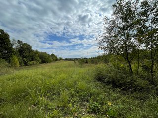 Property photo 36 - REAL ESTATE AUCTION 119 +/- ACRES OFFERED IN 5 TRACTS IN NOBLE COUNTY, INDIANA