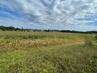 Property photo 37 - REAL ESTATE AUCTION 119 +/- ACRES OFFERED IN 5 TRACTS IN NOBLE COUNTY, INDIANA