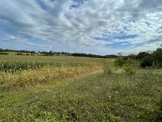 Property photo 38 - REAL ESTATE AUCTION 119 +/- ACRES OFFERED IN 5 TRACTS IN NOBLE COUNTY, INDIANA