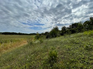 Property photo 39 - REAL ESTATE AUCTION 119 +/- ACRES OFFERED IN 5 TRACTS IN NOBLE COUNTY, INDIANA