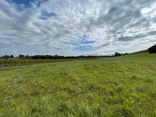 Property photo 40 - REAL ESTATE AUCTION 119 +/- ACRES OFFERED IN 5 TRACTS IN NOBLE COUNTY, INDIANA