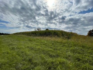 Property photo 41 - REAL ESTATE AUCTION 119 +/- ACRES OFFERED IN 5 TRACTS IN NOBLE COUNTY, INDIANA