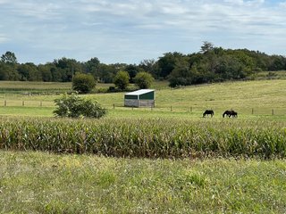 Property photo 42 - REAL ESTATE AUCTION 119 +/- ACRES OFFERED IN 5 TRACTS IN NOBLE COUNTY, INDIANA