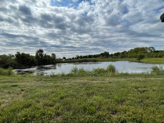 Property photo 44 - REAL ESTATE AUCTION 119 +/- ACRES OFFERED IN 5 TRACTS IN NOBLE COUNTY, INDIANA