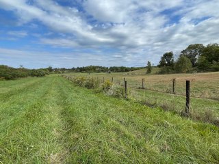 Property photo 49 - REAL ESTATE AUCTION 119 +/- ACRES OFFERED IN 5 TRACTS IN NOBLE COUNTY, INDIANA