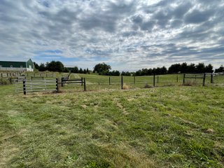 Property photo 50 - REAL ESTATE AUCTION 119 +/- ACRES OFFERED IN 5 TRACTS IN NOBLE COUNTY, INDIANA