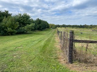 Property photo 54 - REAL ESTATE AUCTION 119 +/- ACRES OFFERED IN 5 TRACTS IN NOBLE COUNTY, INDIANA