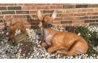 Property photo 85 - TIMED ONLINE ONLY PERSONAL PROPERTY AUCTION IN ALLEN COUNTY, INDIANA