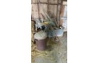 Property photo 110 - TIMED ONLINE ONLY PERSONAL PROPERTY AUCTION IN ALLEN COUNTY, INDIANA