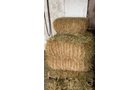 Property photo 111 - TIMED ONLINE ONLY PERSONAL PROPERTY AUCTION IN ALLEN COUNTY, INDIANA