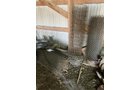 Property photo 240 - TIMED ONLINE ONLY PERSONAL PROPERTY AUCTION IN ALLEN COUNTY, INDIANA
