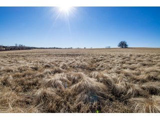 Property photo 85 - LAND AUCTION - 768+/- ACRES OFFERED IN 15 TRACTS IN GRADY COUNTY, OKLAHOMA