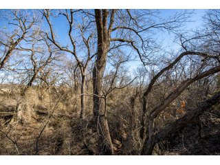 Property photo 90 - LAND AUCTION - 768+/- ACRES OFFERED IN 15 TRACTS IN GRADY COUNTY, OKLAHOMA