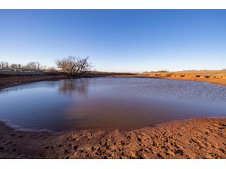 Property photo 43 - LAND AUCTION - 768+/- ACRES OFFERED IN 15 TRACTS IN GRADY COUNTY, OKLAHOMA