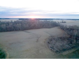Property photo 4 - LAND AUCTION - 99+/- ACRES OFFERED IN 3 TRACTS IN WABASH COUNTY, INDIANA