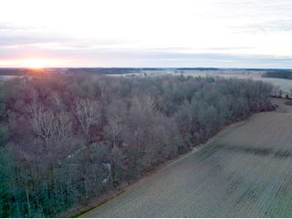 Property photo 5 - LAND AUCTION - 99+/- ACRES OFFERED IN 3 TRACTS IN WABASH COUNTY, INDIANA