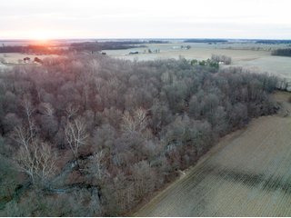Property photo 6 - LAND AUCTION - 99+/- ACRES OFFERED IN 3 TRACTS IN WABASH COUNTY, INDIANA