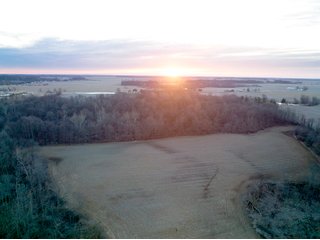 Property photo 8 - LAND AUCTION - 99+/- ACRES OFFERED IN 3 TRACTS IN WABASH COUNTY, INDIANA