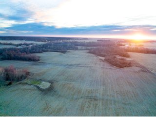 Property photo 15 - LAND AUCTION - 99+/- ACRES OFFERED IN 3 TRACTS IN WABASH COUNTY, INDIANA