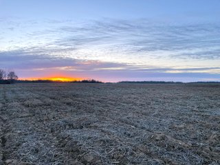 Property photo 28 - LAND AUCTION - 99+/- ACRES OFFERED IN 3 TRACTS IN WABASH COUNTY, INDIANA