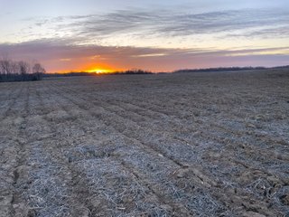 Property photo 29 - LAND AUCTION - 99+/- ACRES OFFERED IN 3 TRACTS IN WABASH COUNTY, INDIANA