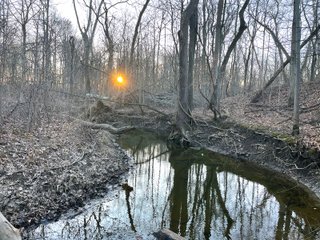 Property photo 35 - LAND AUCTION - 99+/- ACRES OFFERED IN 3 TRACTS IN WABASH COUNTY, INDIANA
