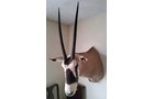 Property photo 39 - TIMED ONLINE ONLY PERSONAL PROPERTY AUCTION IN NOBLE COUNTY, INDIANA