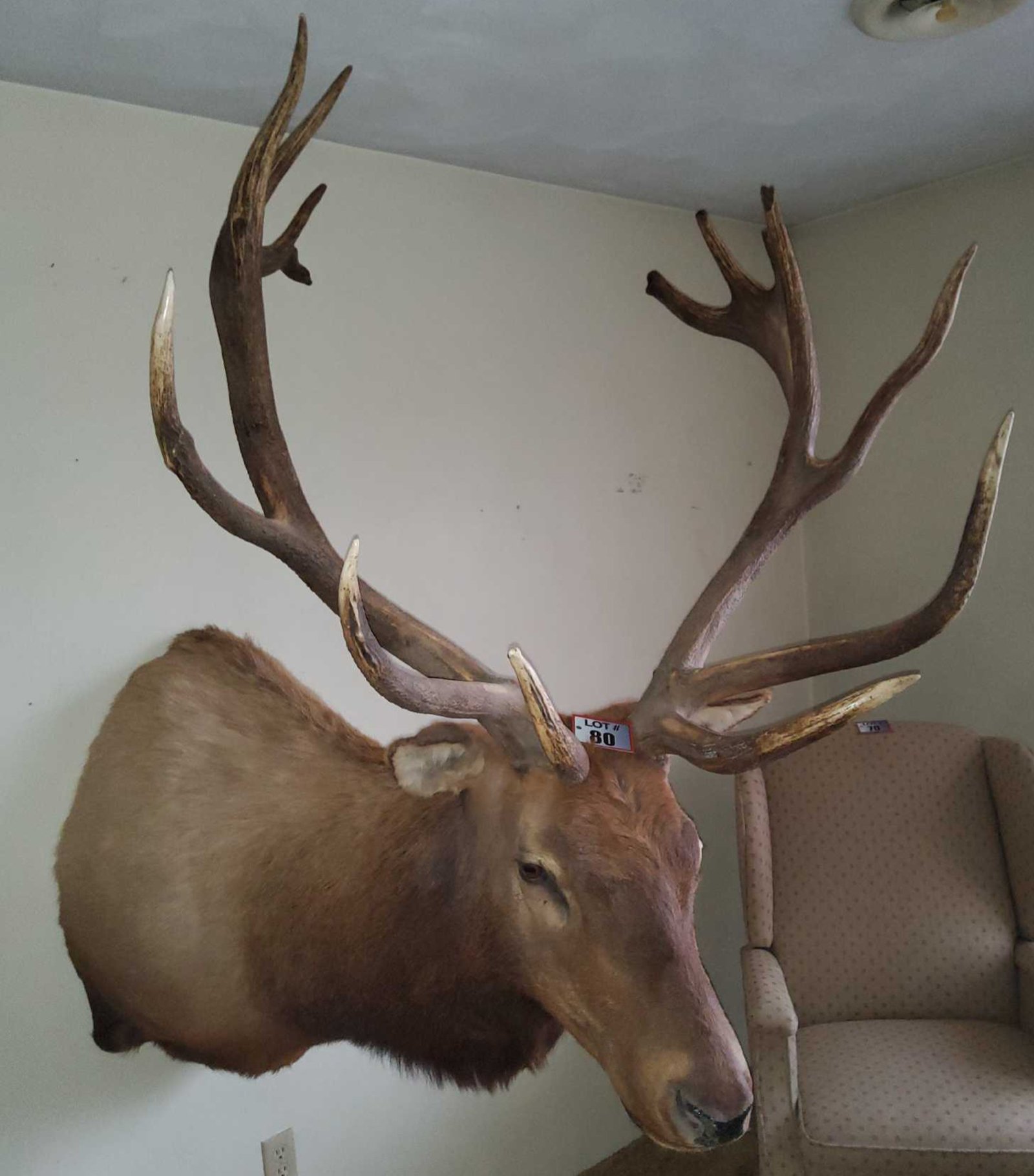 Property photo 38 - TIMED ONLINE ONLY PERSONAL PROPERTY AUCTION IN NOBLE COUNTY, INDIANA