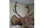 Property photo 38 - TIMED ONLINE ONLY PERSONAL PROPERTY AUCTION IN NOBLE COUNTY, INDIANA