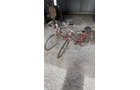 Property photo 22 - TIMED ONLINE ONLY PERSONAL PROPERTY AUCTION IN ALLEN COUNTY, INDIANA