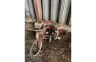 Property photo 29 - TIMED ONLINE ONLY PERSONAL PROPERTY AUCTION IN ALLEN COUNTY, INDIANA