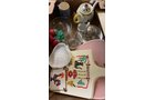 Property photo 214 - TIMED ONLINE ONLY PERSONAL PROPERTY AUCTION IN ALLEN COUNTY, INDIANA