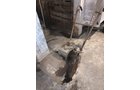 Property photo 410 - TIMED ONLINE ONLY PERSONAL PROPERTY AUCTION IN ALLEN COUNTY, INDIANA