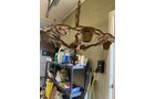 Property photo 475 - TIMED ONLINE ONLY PERSONAL PROPERTY AUCTION IN ALLEN COUNTY, INDIANA