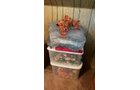 Property photo 3 - TIMED ONLINE ONLY PERSONAL PROPERTY AUCTION IN ALLEN COUNTY, INDIANA