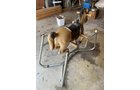 Property photo 195 - TIMED ONLINE ONLY PERSONAL PROPERTY AUCTION IN DEFIANCE COUNTY, OHIO