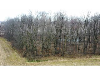 Property photo 15 - LAND AUCTION - 20+/- ACRES OFFERED IN 1 TRACT IN NOBLE COUNTY, INDIANA