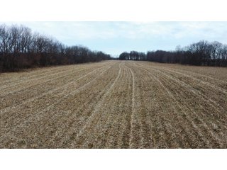 Property photo 1 - LAND AUCTION - 20+/- ACRES OFFERED IN 1 TRACT IN NOBLE COUNTY, INDIANA