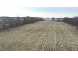 Property photo 2 - LAND AUCTION - 20+/- ACRES OFFERED IN 1 TRACT IN NOBLE COUNTY, INDIANA