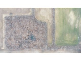 Property photo 6 - LAND AUCTION - 20+/- ACRES OFFERED IN 1 TRACT IN NOBLE COUNTY, INDIANA