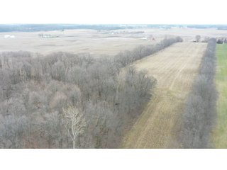 Property photo 8 - LAND AUCTION - 20+/- ACRES OFFERED IN 1 TRACT IN NOBLE COUNTY, INDIANA