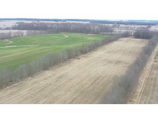 Property photo 10 - LAND AUCTION - 20+/- ACRES OFFERED IN 1 TRACT IN NOBLE COUNTY, INDIANA