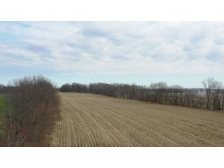 Property photo 13 - LAND AUCTION - 20+/- ACRES OFFERED IN 1 TRACT IN NOBLE COUNTY, INDIANA