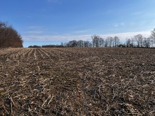 Property photo 17 - LAND AUCTION - 20+/- ACRES OFFERED IN 1 TRACT IN NOBLE COUNTY, INDIANA