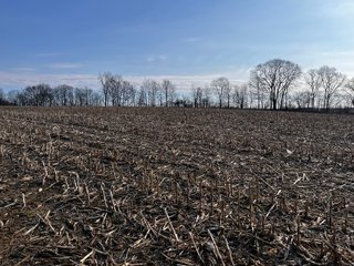 Property photo 18 - LAND AUCTION - 20+/- ACRES OFFERED IN 1 TRACT IN NOBLE COUNTY, INDIANA