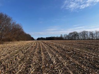 Property photo 19 - LAND AUCTION - 20+/- ACRES OFFERED IN 1 TRACT IN NOBLE COUNTY, INDIANA