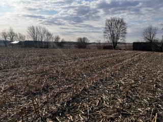 Property photo 20 - LAND AUCTION - 20+/- ACRES OFFERED IN 1 TRACT IN NOBLE COUNTY, INDIANA