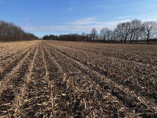 Property photo 21 - LAND AUCTION - 20+/- ACRES OFFERED IN 1 TRACT IN NOBLE COUNTY, INDIANA